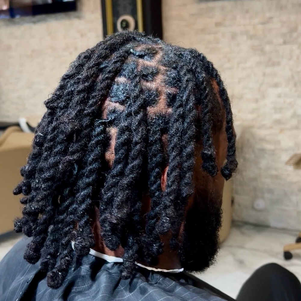 Loc Re Twist And Two Strand Twist at StylesByHer in King Of Prussia, PA