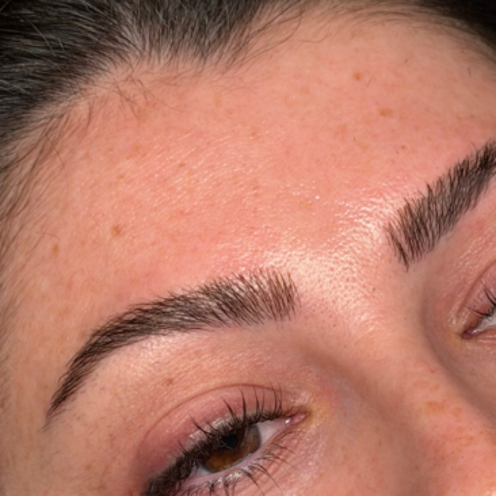 Natural Brow Lamination at PAX Aesthetics in Oviedo, FL