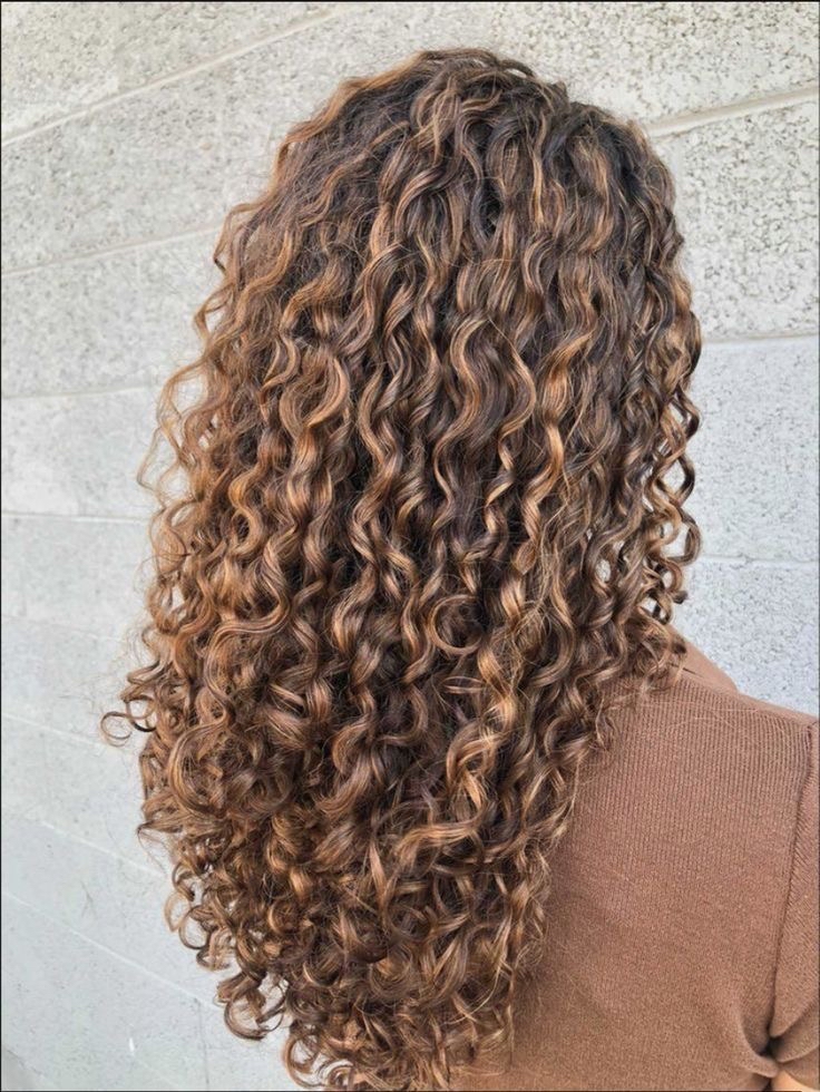 Curly Cut + Hydrate & Define