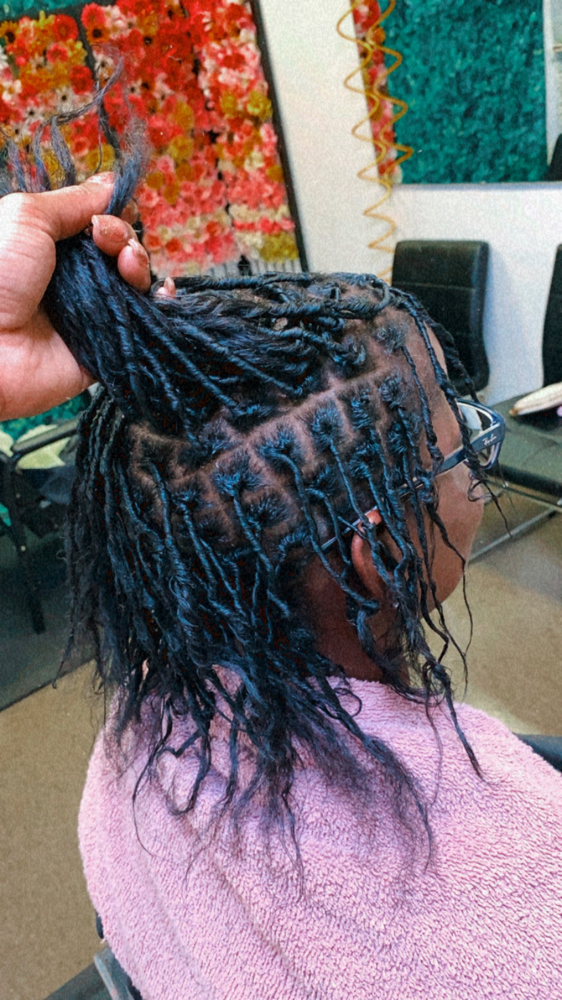 Starter Locs ( Small )