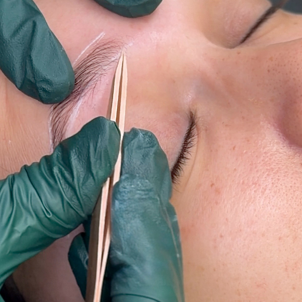 Precision Brow Tweeze at The Opal Loft in Grand Blanc, MI