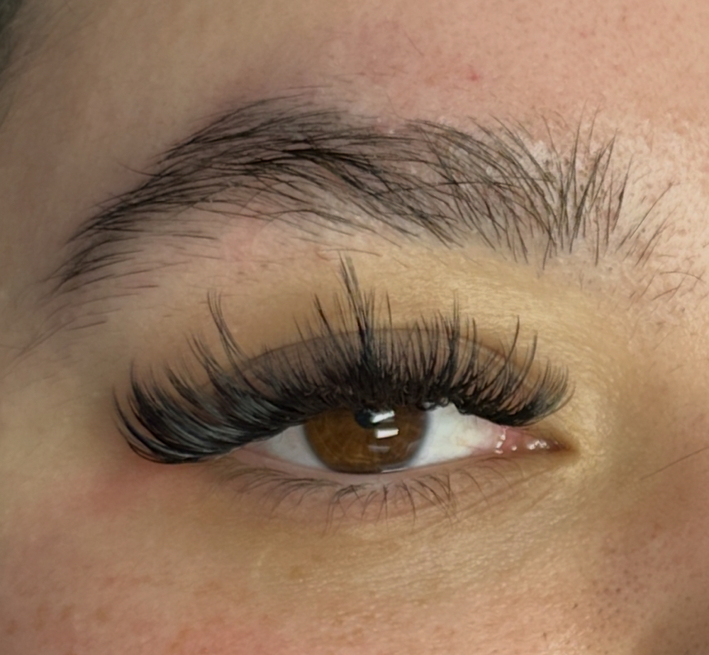 Mega Volume Full Set at The loving beauty in Keizer, OR