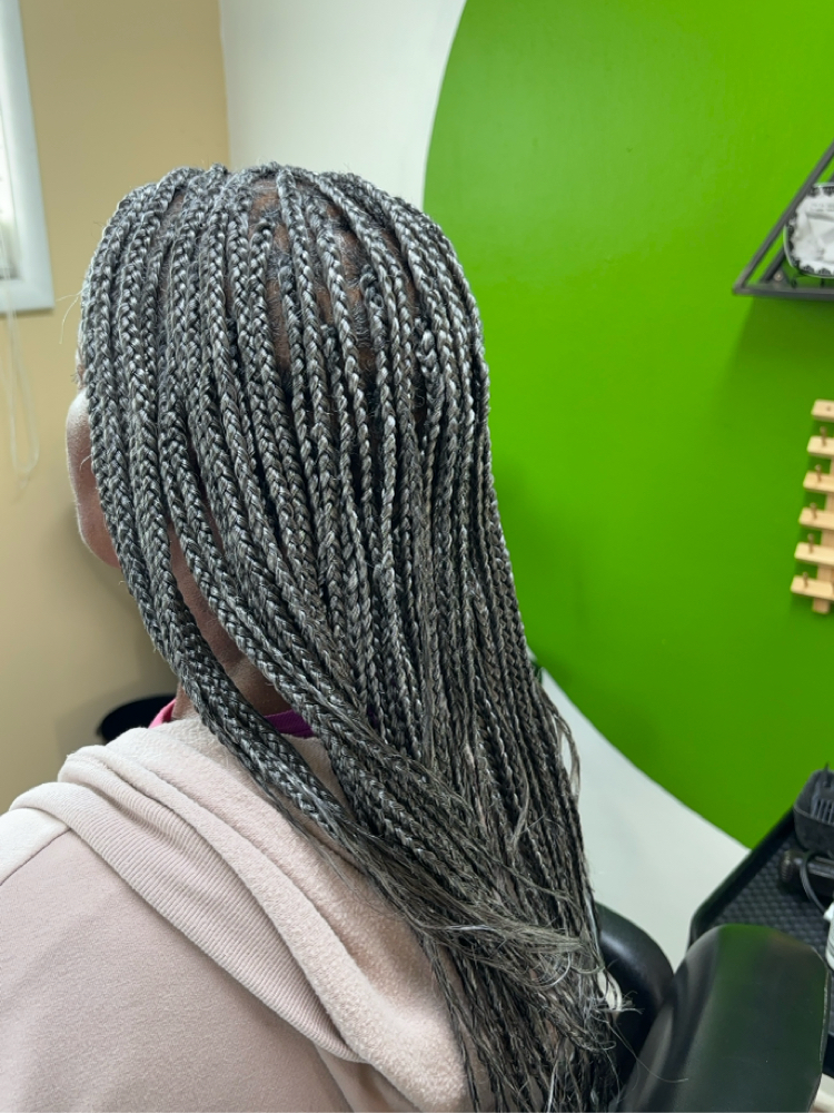 Medium Large Box Braids