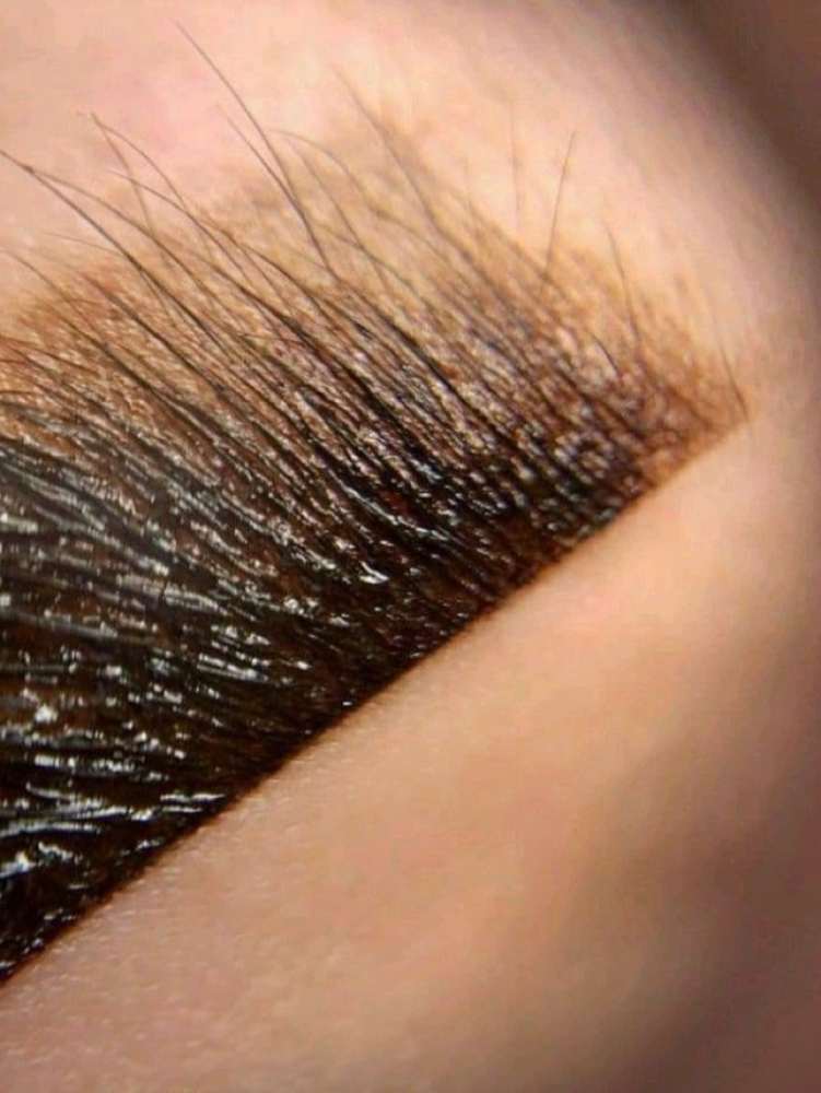 Brow Tint Only