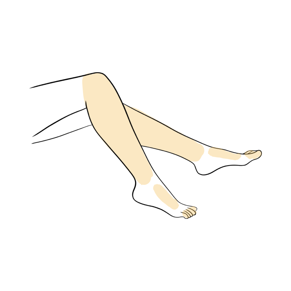 Lower Leg