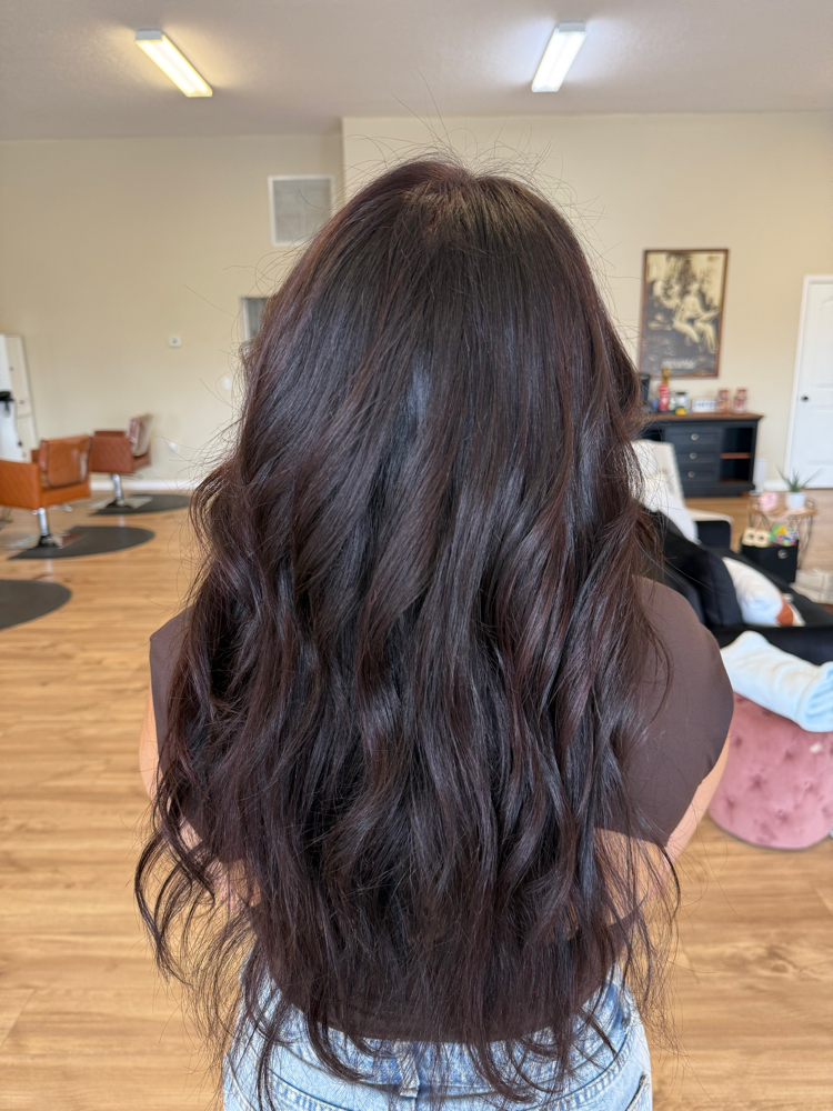 All Over Color at The Hair Sanctaury Inc in Okeechobee, FL