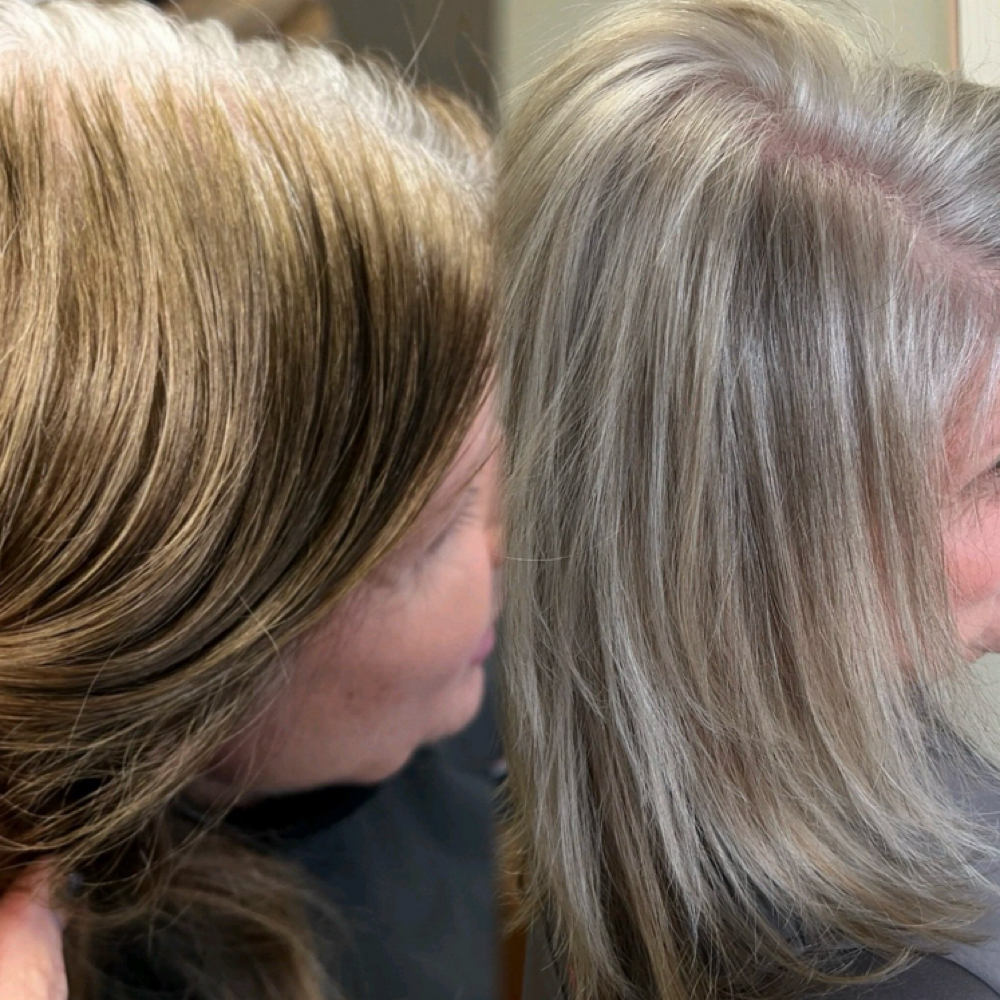 All Inclusive Grey Blending Journey at Sandra Harens Grey Blending Specialist in Rapid City, SD