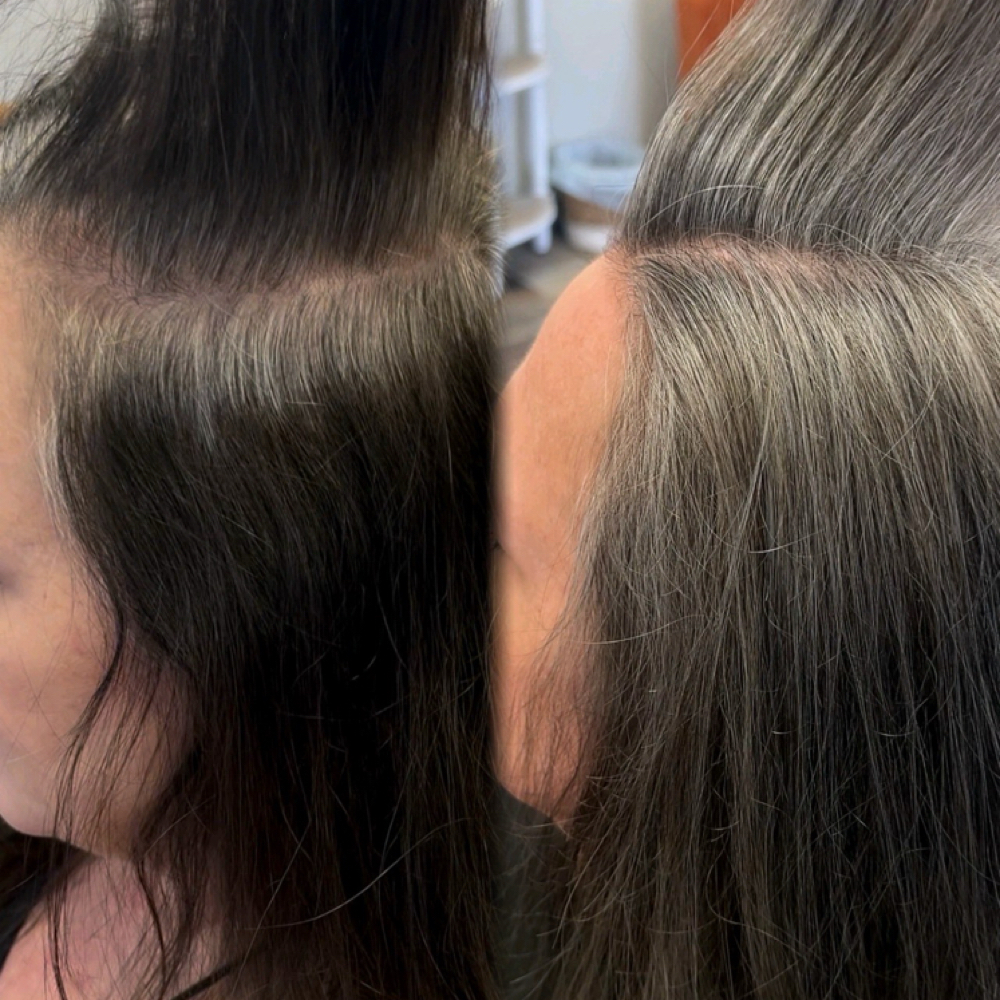12 Month Silver Signature Journey at Sandra Harens Grey Blending Specialist in Rapid City, SD