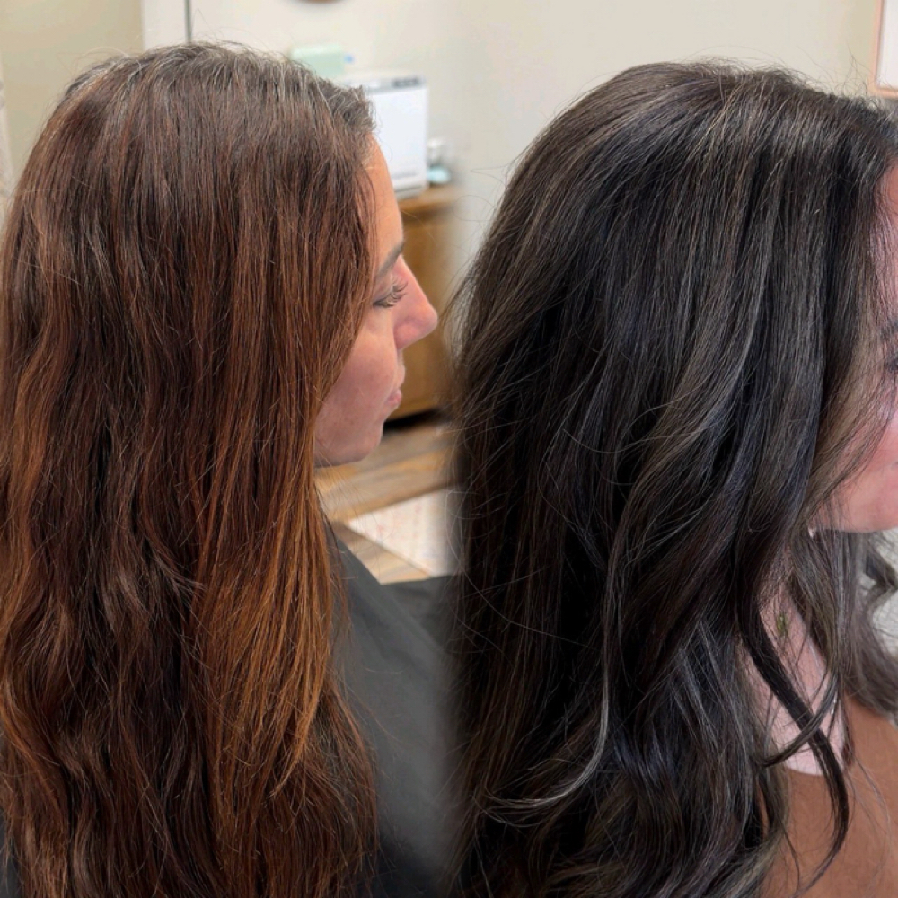 12 Month Silver Signature Journey at Sandra Harens Grey Blending Specialist in Rapid City, SD