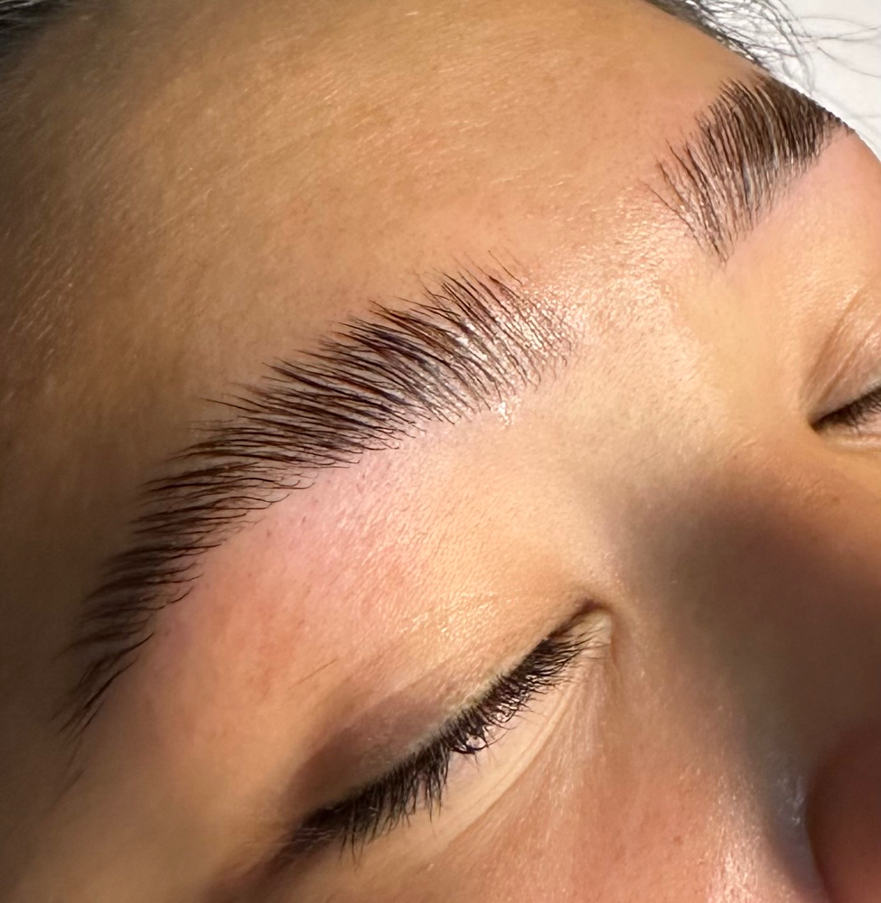 Eyebrow Lamination