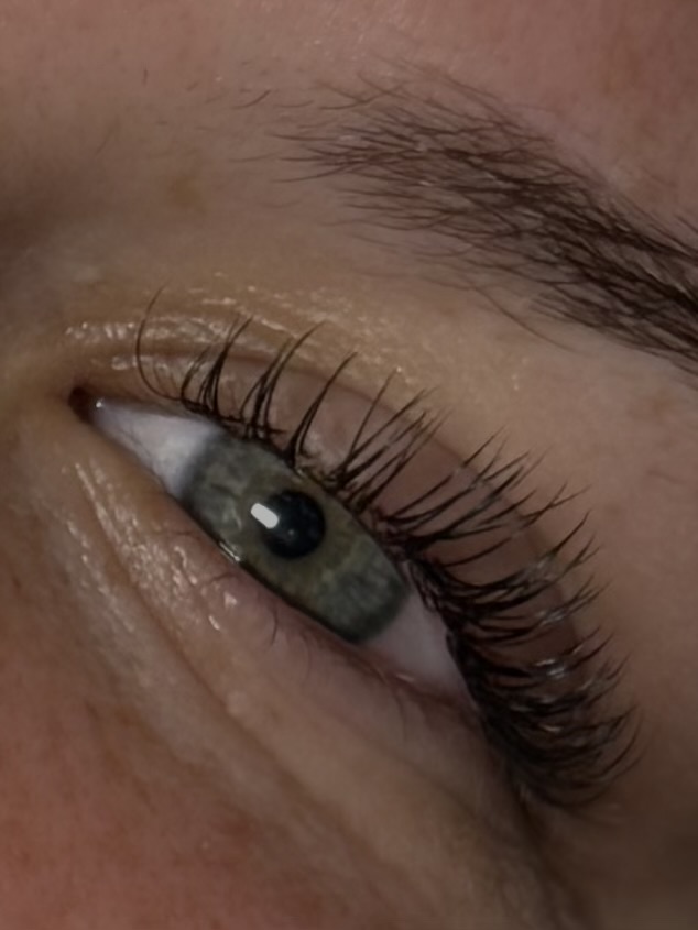 The Natural Lash Set