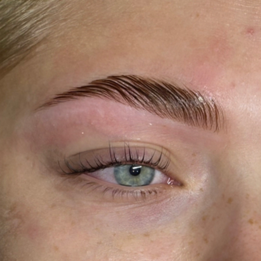 Brow Lamination, Wax, & Tint at Studio P in Lexington, KY