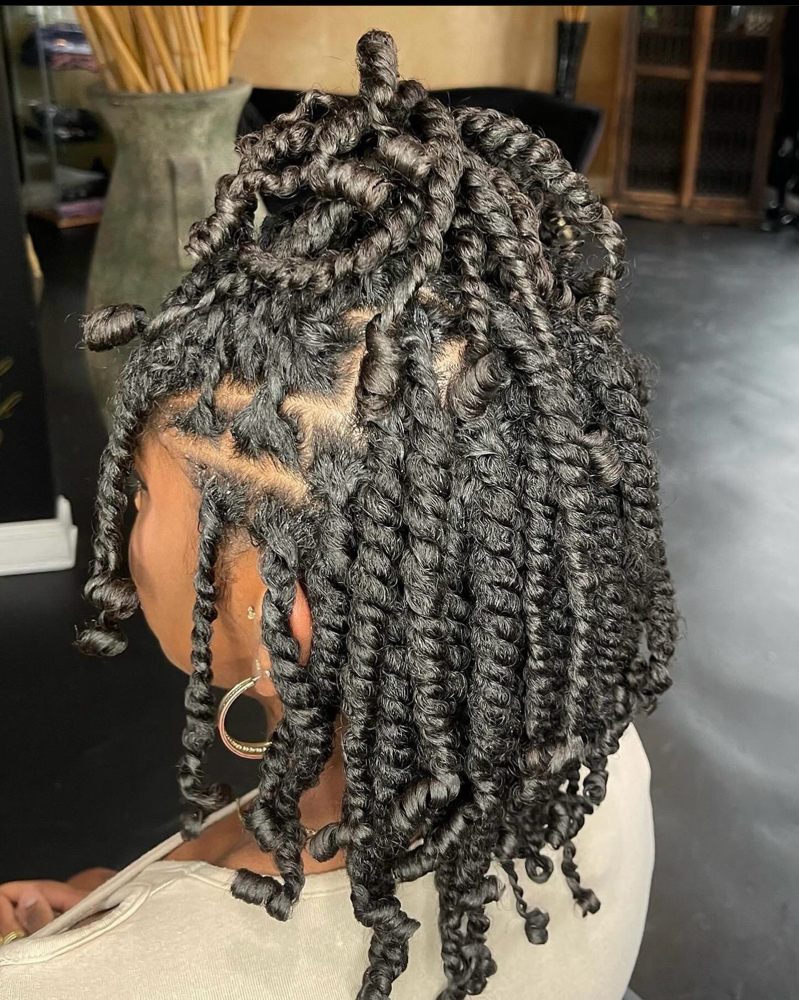 Two Strand Twist
