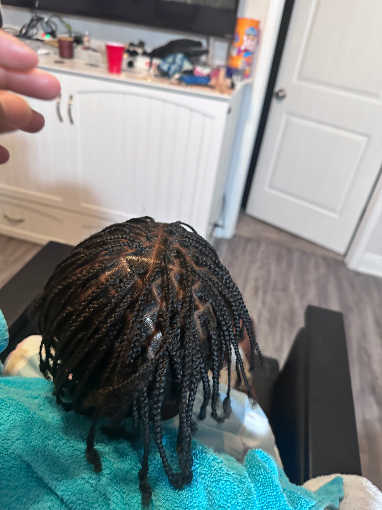 Individual Braids (no Extensions)