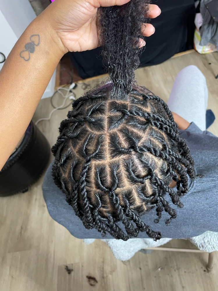 Braids/Twist On Natural Hair