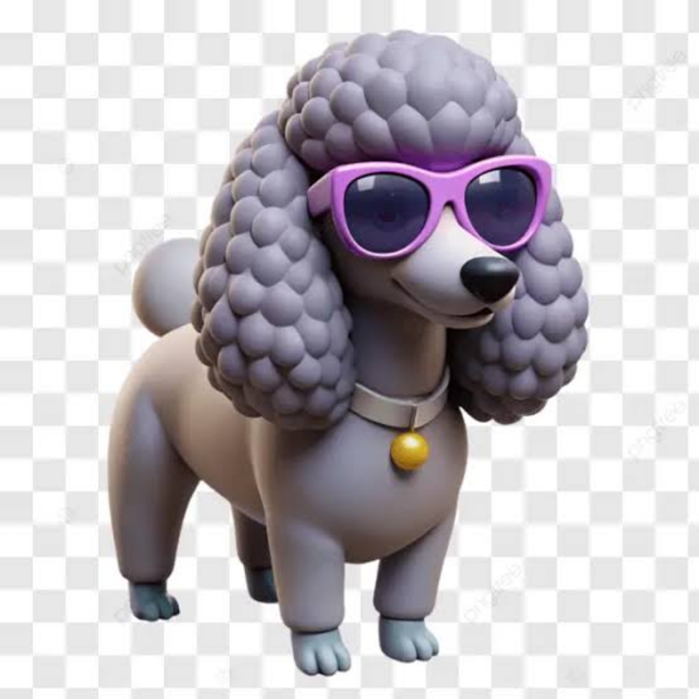 Full Groom at Salty Paws Pet Spa with Sam in North Bend, OR