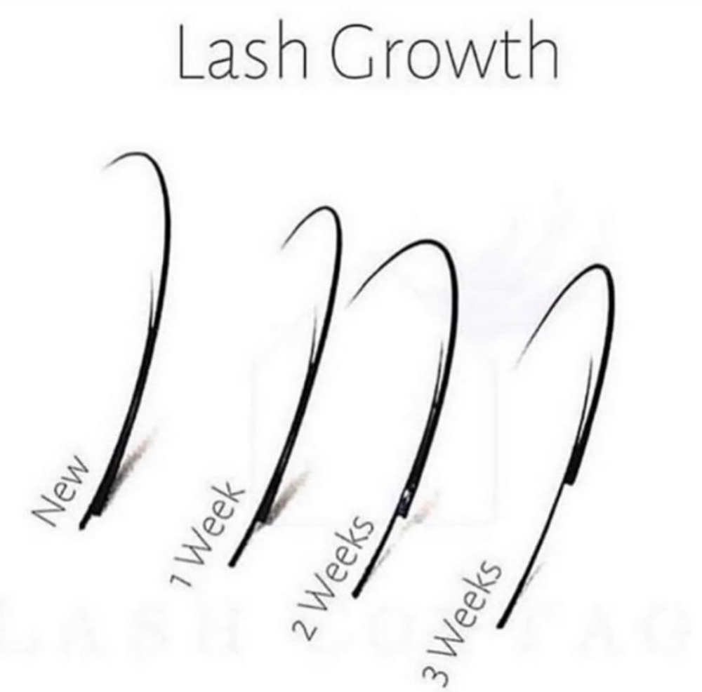 Hybrid Lashes 2-3 Weeks Refill