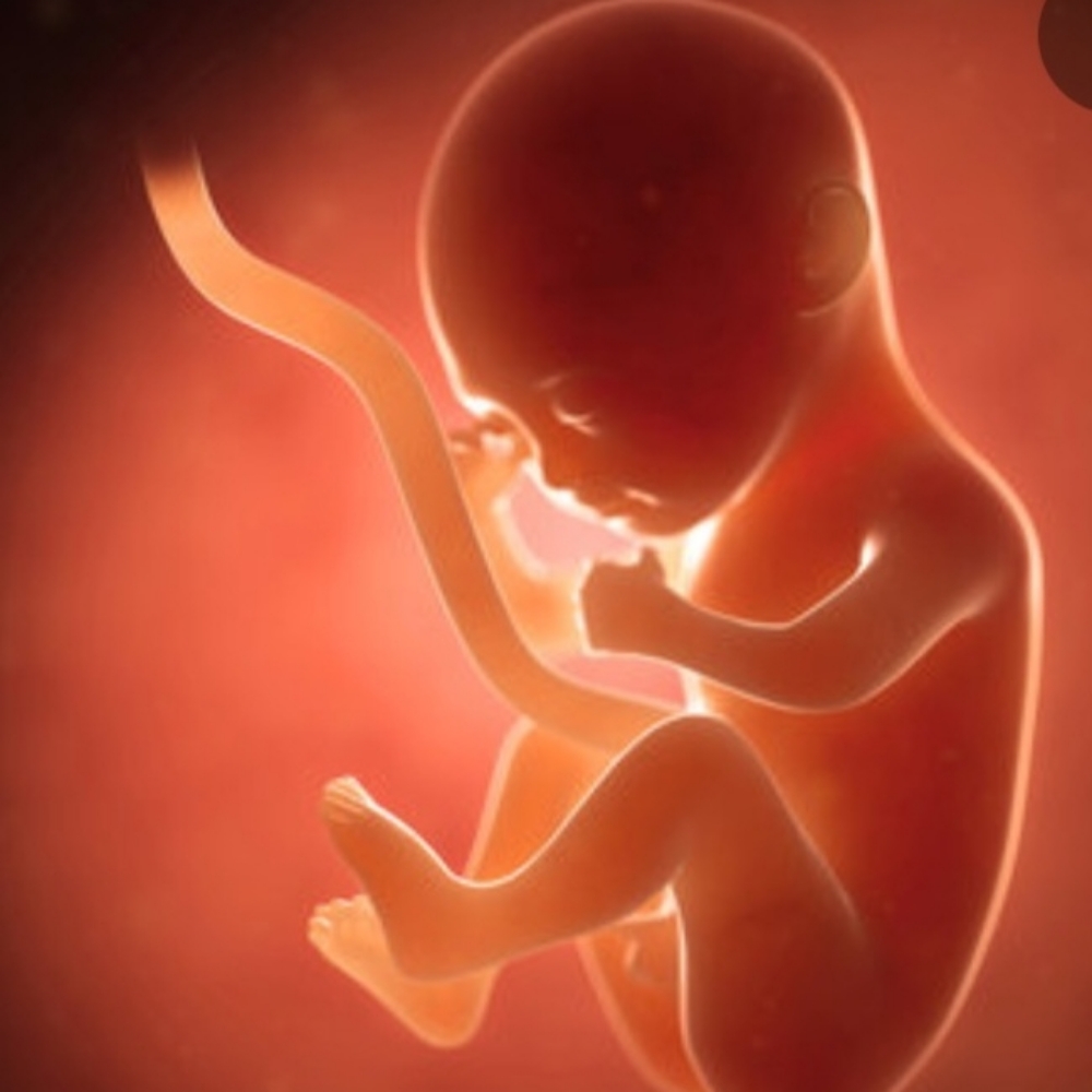 Side Lying Prenatal Massage