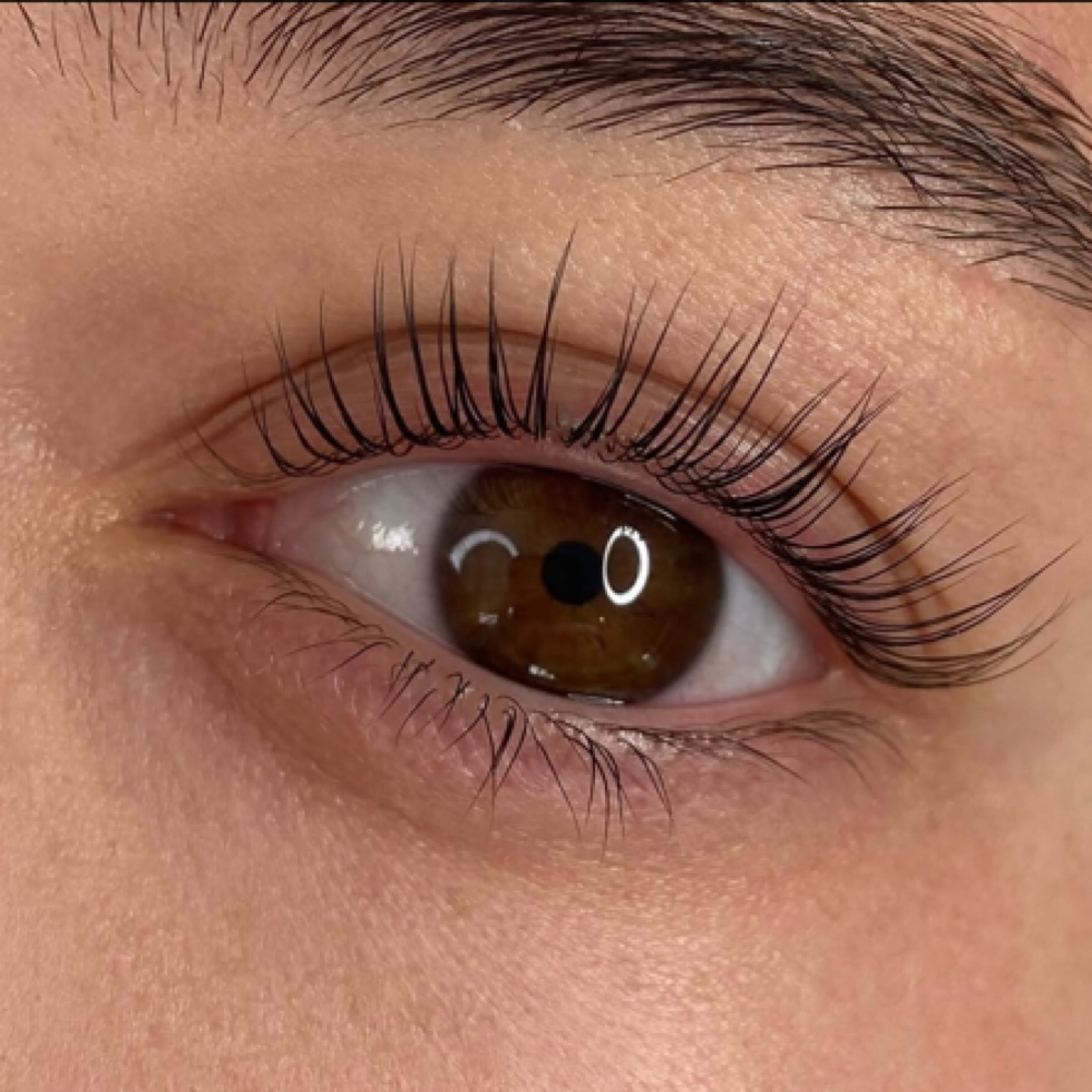 Lash Lift (including Tint) at Brows By Darya Vagner in Brooklyn, NY