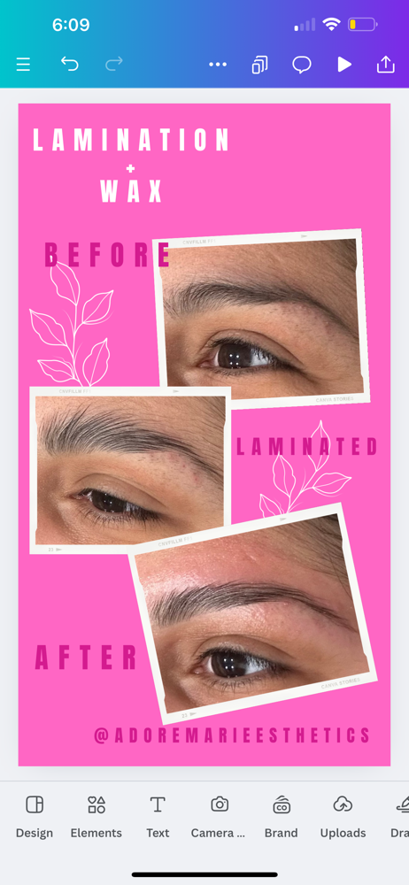 Brow Lamination + Wax