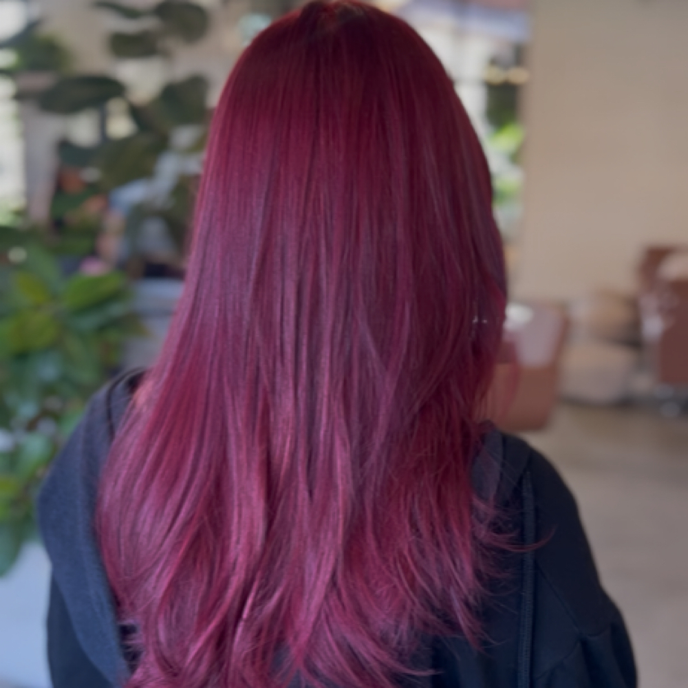 Root Color (no bleach) at Jillian Marquez in Tustin, CA