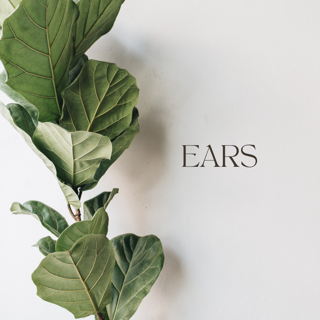 Ears