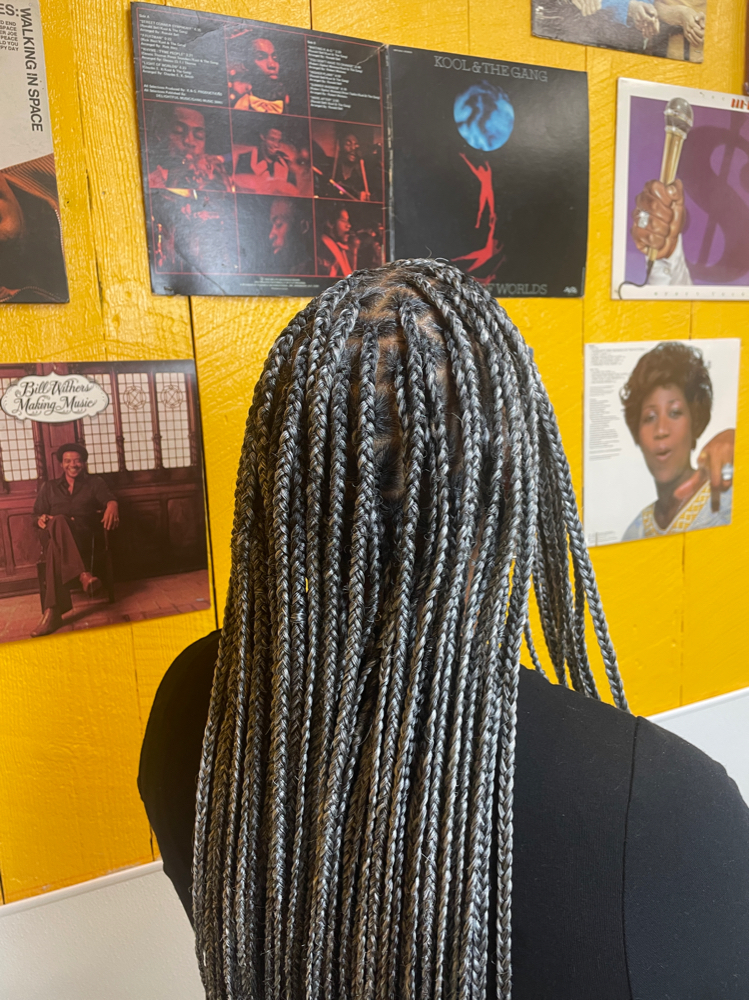 Knotless Braids (Hair Included)