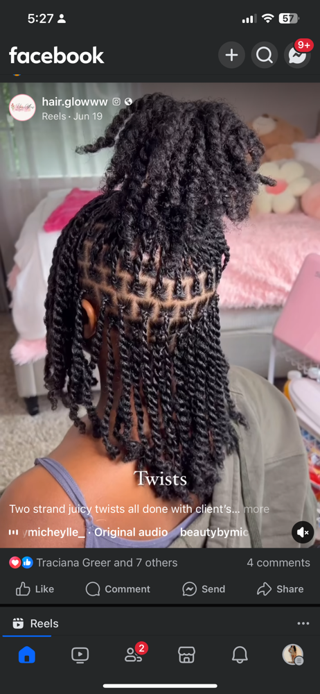 Mini Twist/Plaits (natural hair)