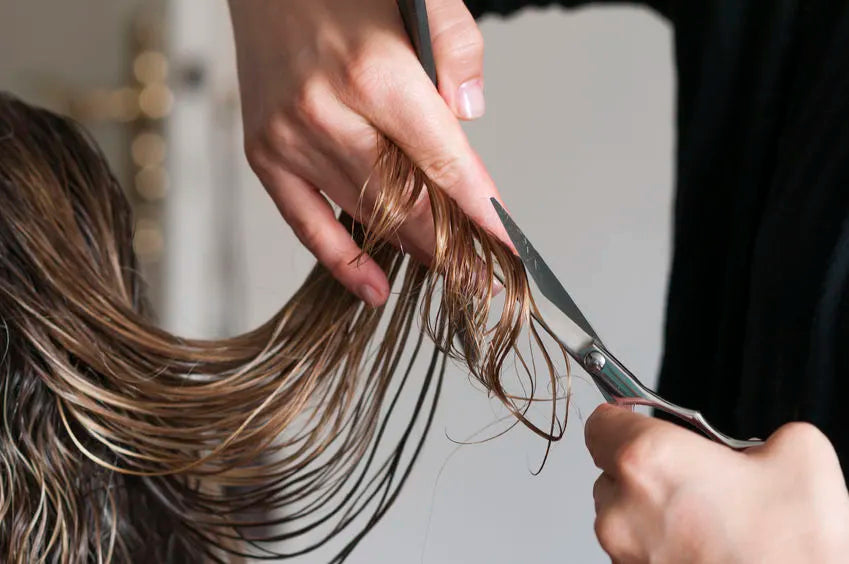 Haircut + Style at Samantha All Teased Up Co in Groveland, FL