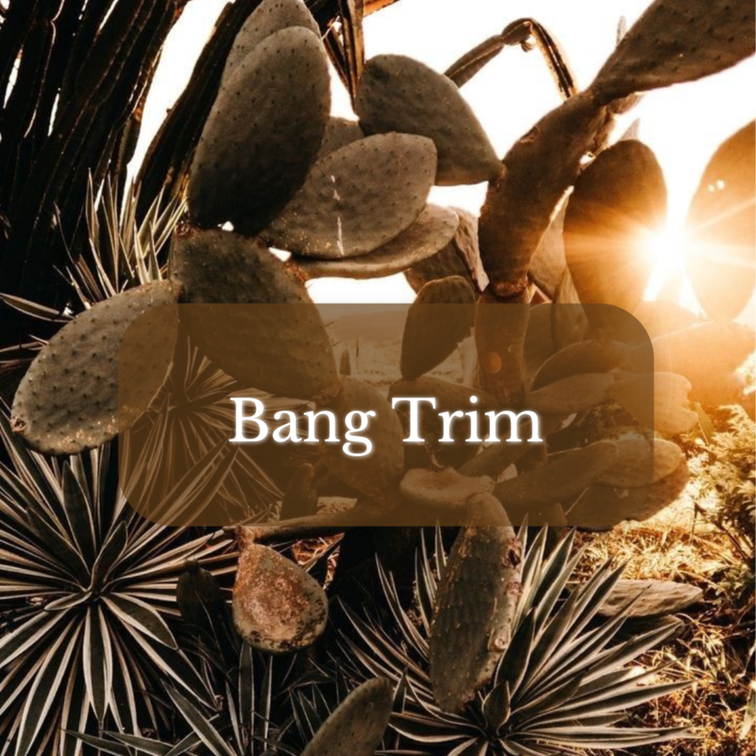 Bang Trim at Magnolia on Main in Keene, NH