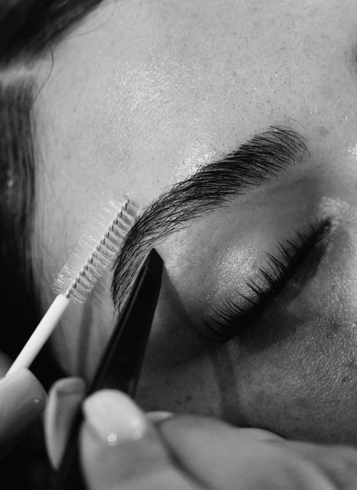 Brow Wax & Tint at Browz by Stephanie in Denver, CO