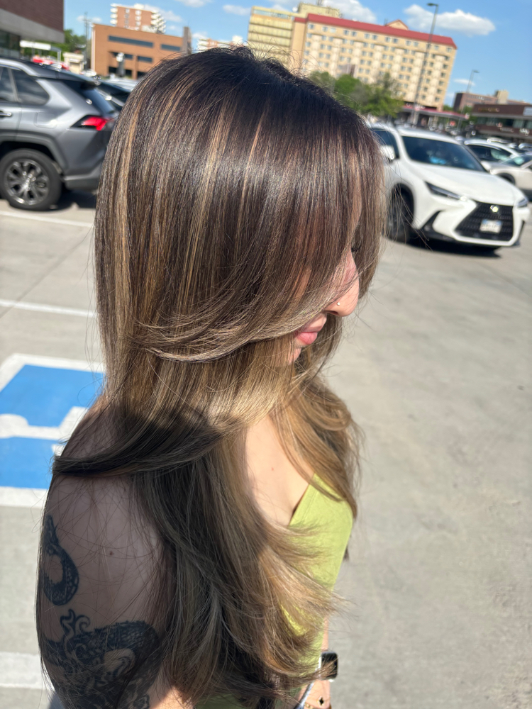 Partial Highlight + Blowdry