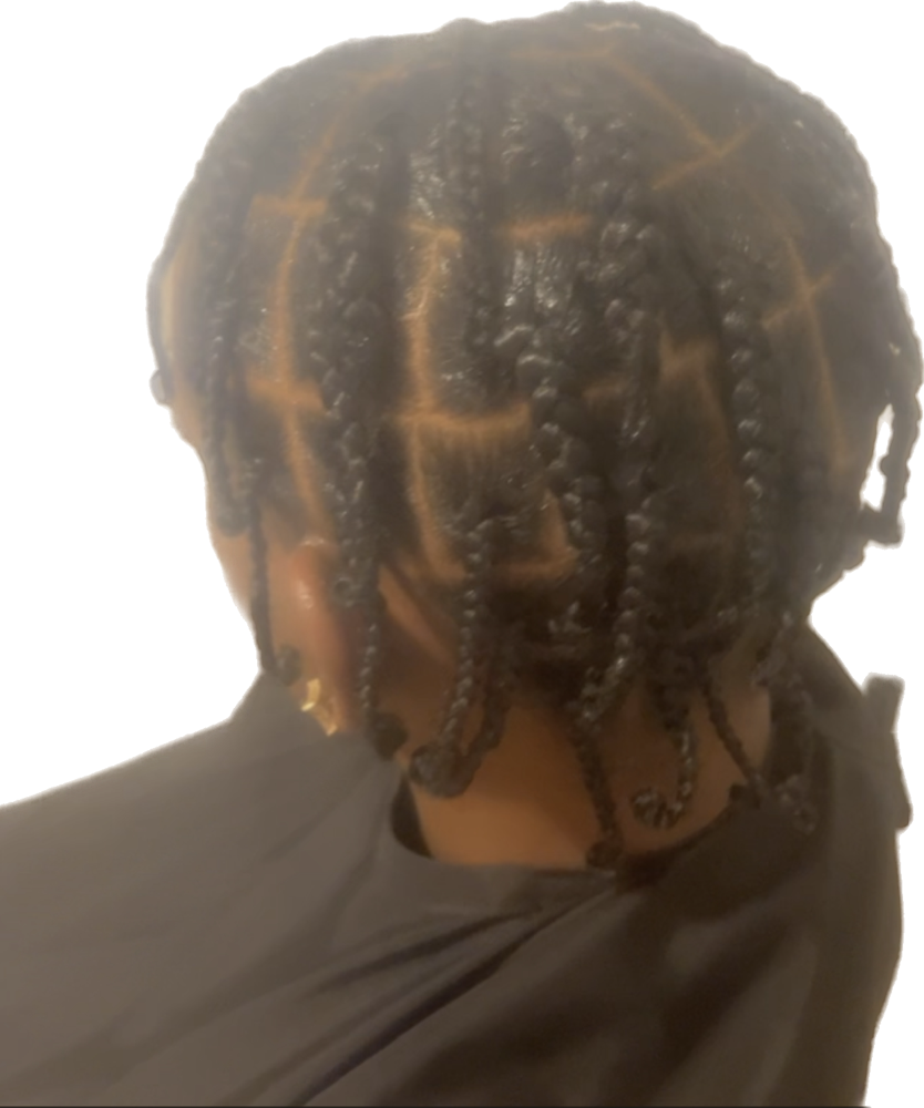 Men’s Plaits/Braids