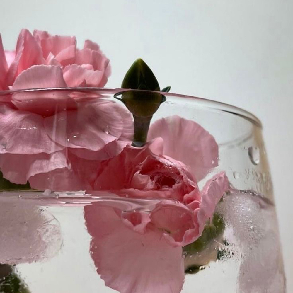 The Petal Refresh at Summer Lynn Aesthetics in NY, NY