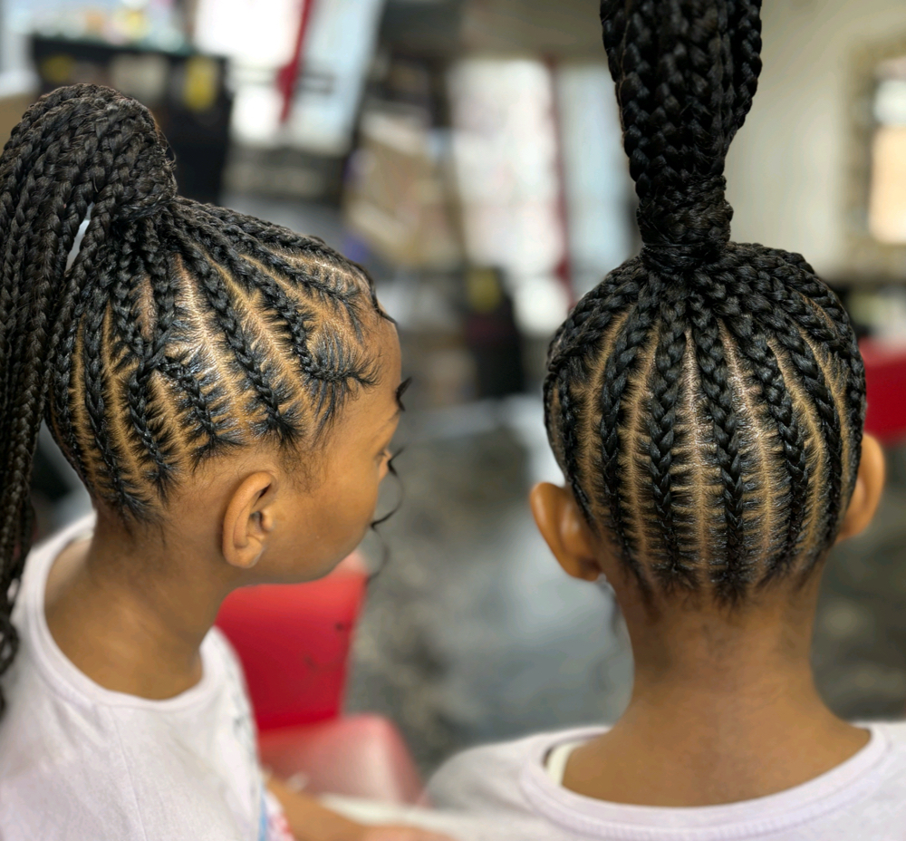 10+ Braids Into Ponytail