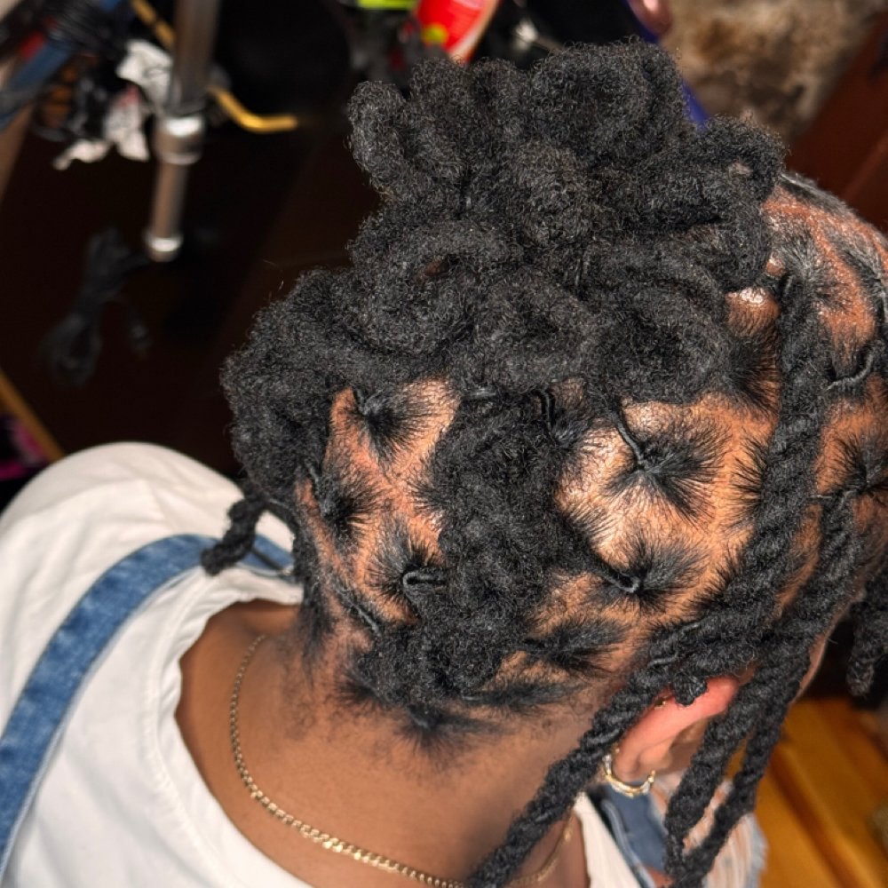 Loc Style Up Do at Plumbhunneez in New Bedford, MA