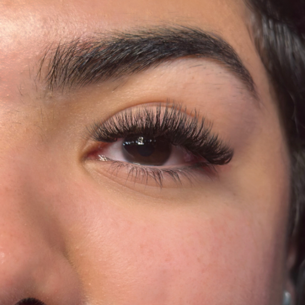 Hybrid Set at Divine Beauty Lashes in Kingsville, TX