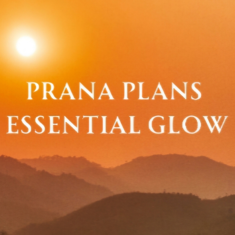 * Add On Color Pull Through/ Toner at Prana Beauty and Wellness Salon in Centennial, CO