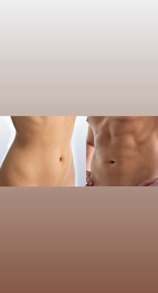 Abdomen