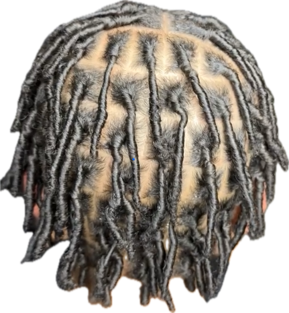 Kid's Starters Coils at Loc’d In With Dej in Fayetteville, NC