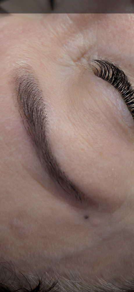 Eyebrow Tint & Wax