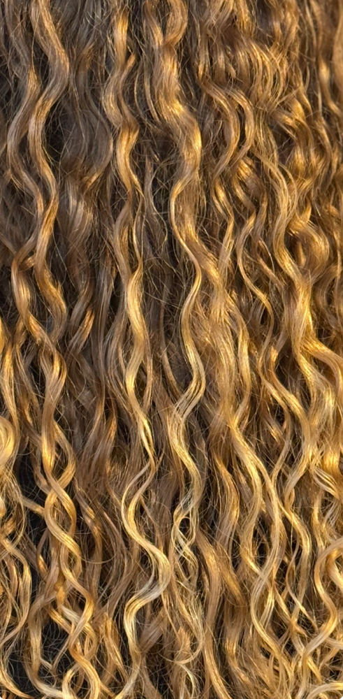 Curly Cut (New Client) at Carson MKE in Milwaukee, WI