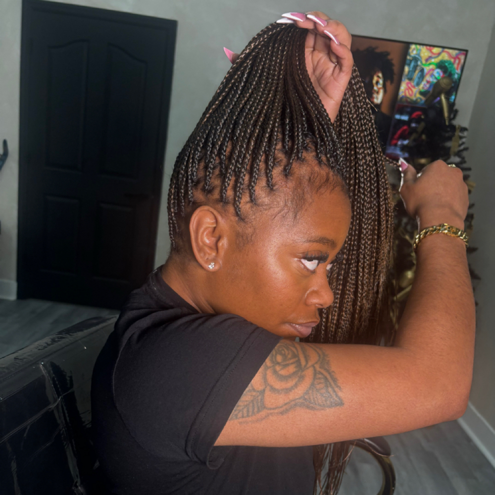 Xsmall Extended at CeeGoneSlay in Haines City, FL