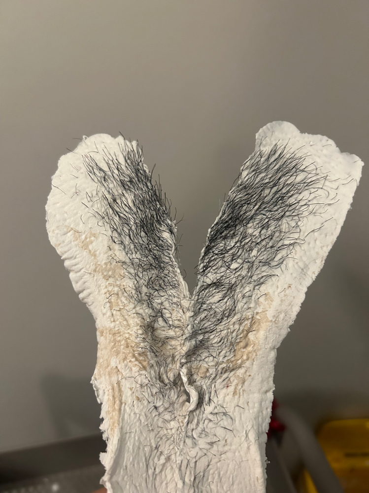 New Client: Brazilian Wax