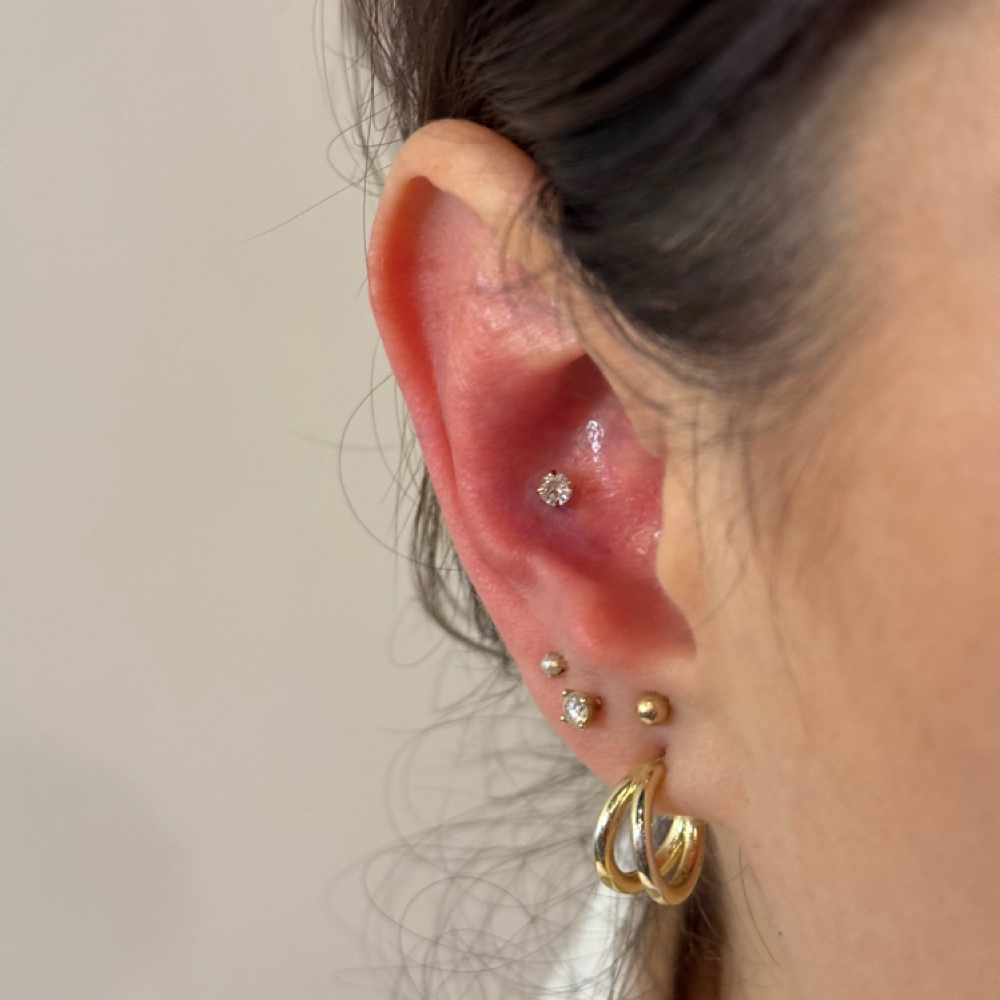 Conch at PiercingSiren in Waukegan, IL