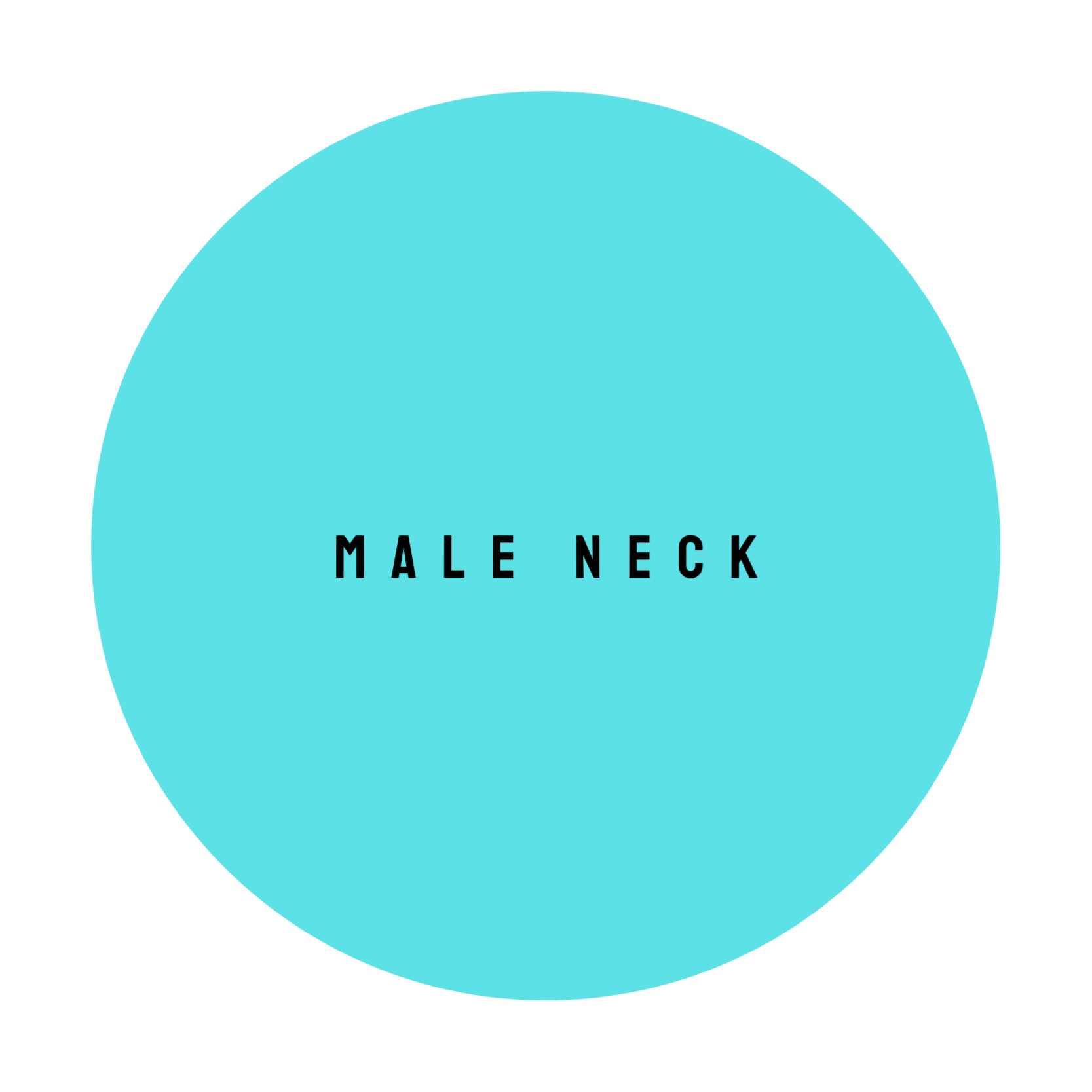 MALE NECK at The Dollhouse Wax Studio in Smyrna, TN