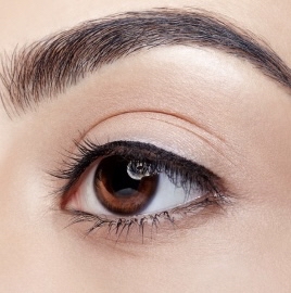 Brow Wax+Shaping