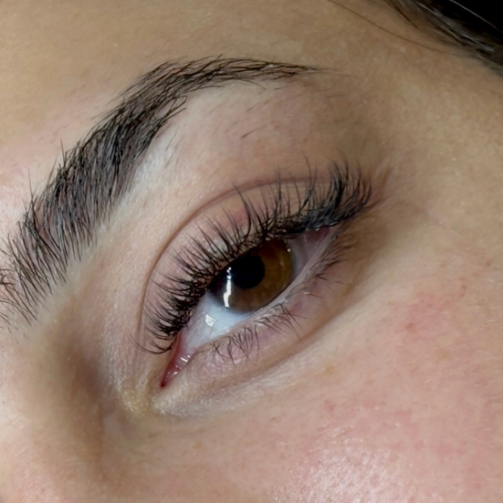 Classic Fill at Ethereal Lash Lounge in Springfield, MO