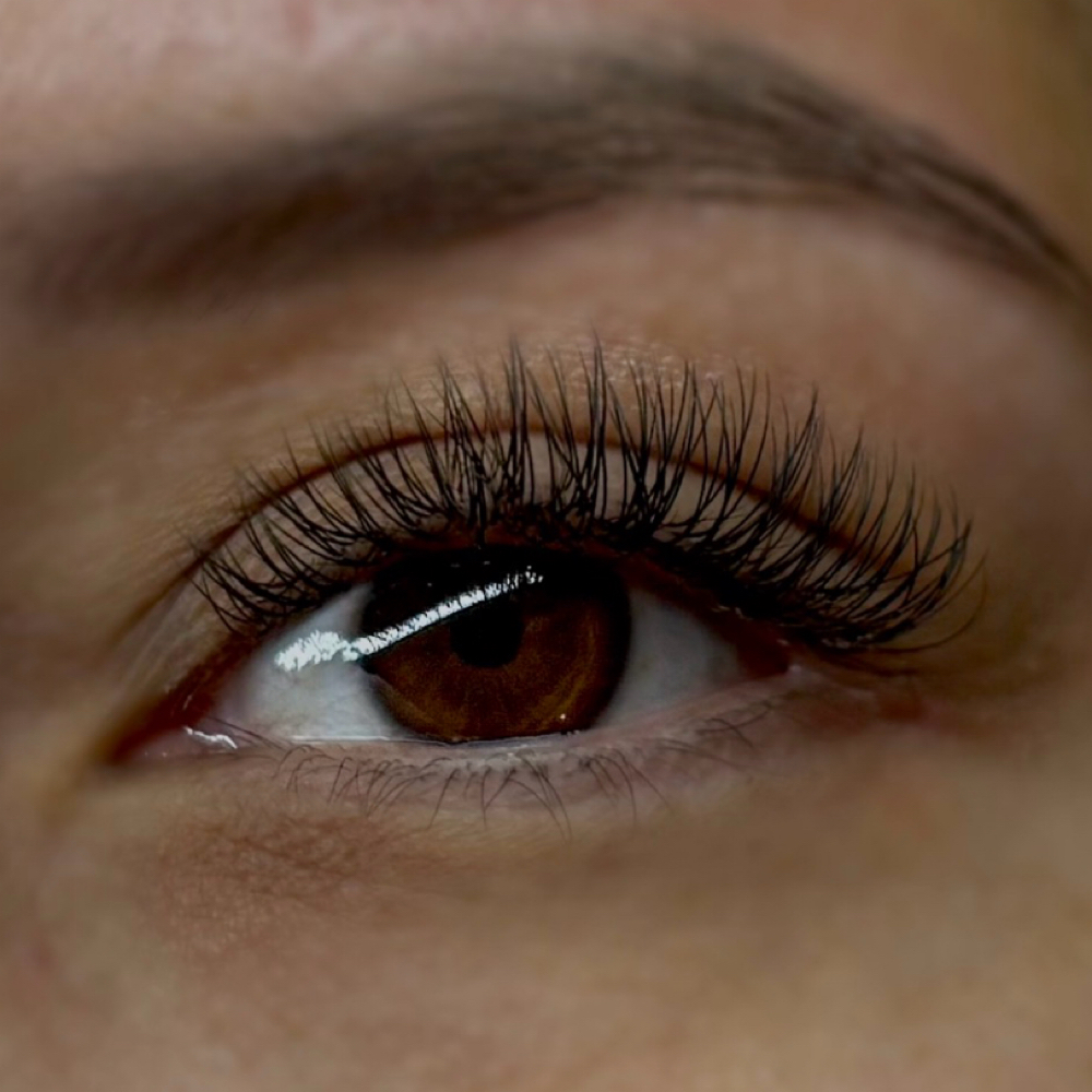 Classic Fill at Ethereal Lash Lounge in Springfield, MO
