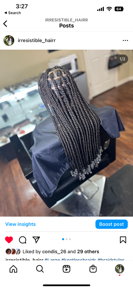 Knotless Braids (large)